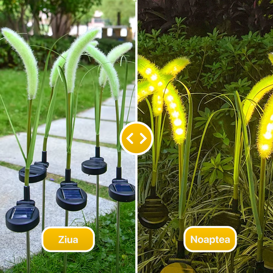 Set de 2 Lumini Solare pentru Grădină