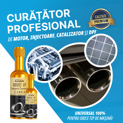 Curățător Profesional Motor, Injectoare, Catalizator & DPF