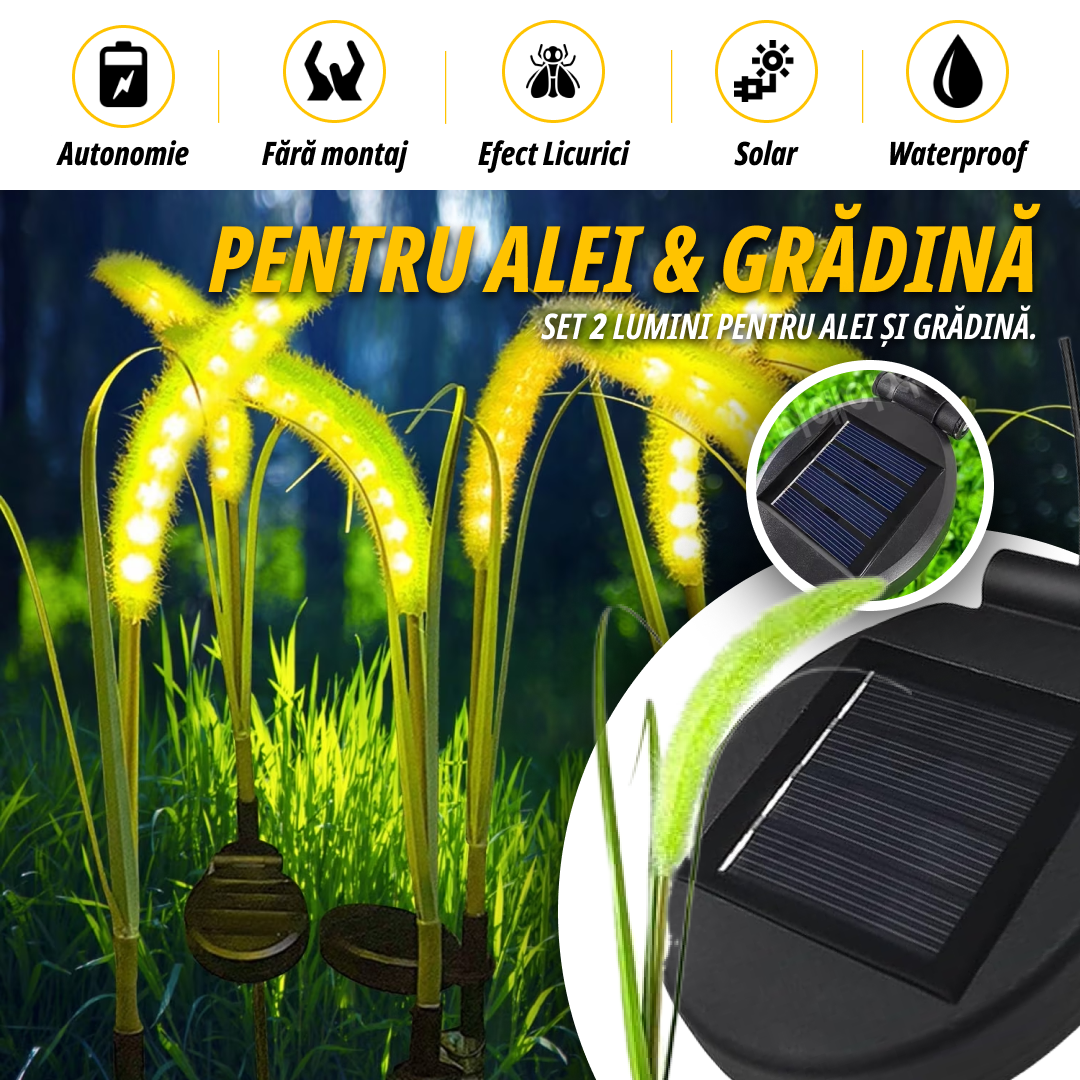 Set de 2 Lumini Solare pentru Grădină
