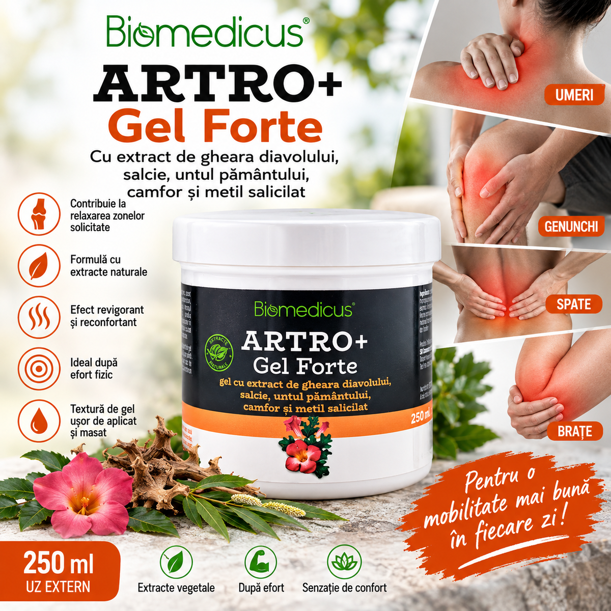 Gel Biomedicus Artro+ Forte pentru Masaj Terapeutic – 250 ml